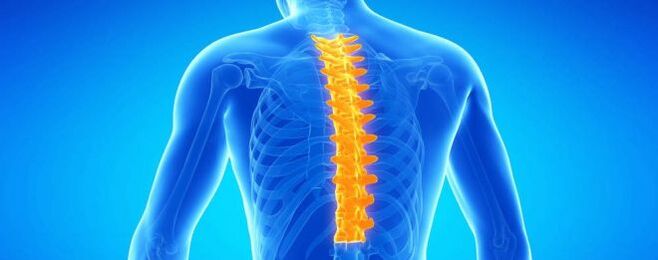 Олар фотосуреттер арқылы өз қабілеттерін кеңейтуде.